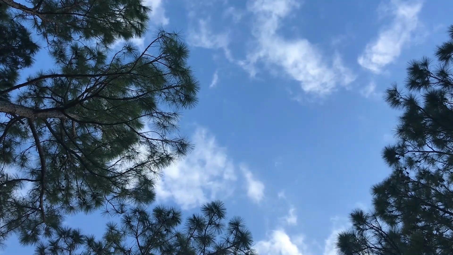 Video by Daisy Sparkleweather