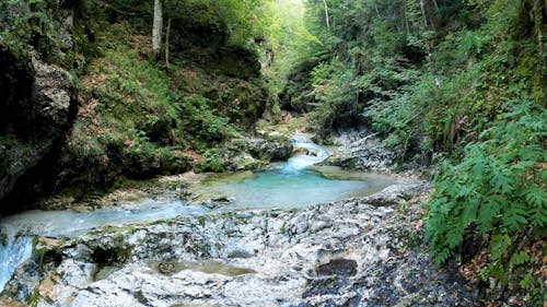 View of a Flowing Water on a Stream