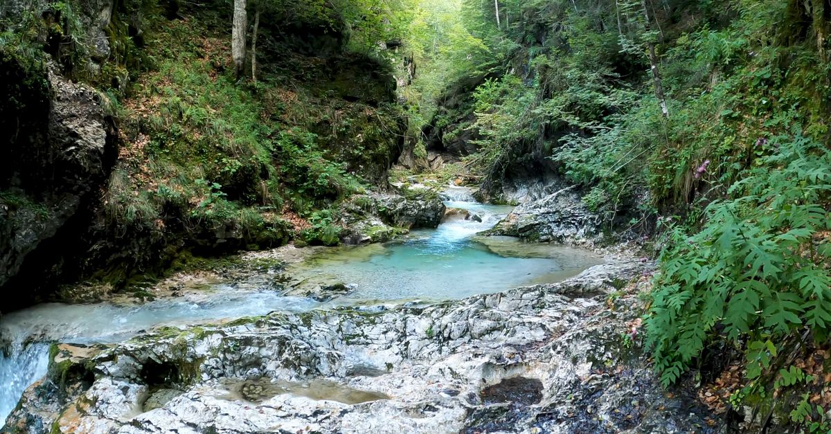 View of a Flowing Water on a Stream Free Stock Video Footage, Royalty ...