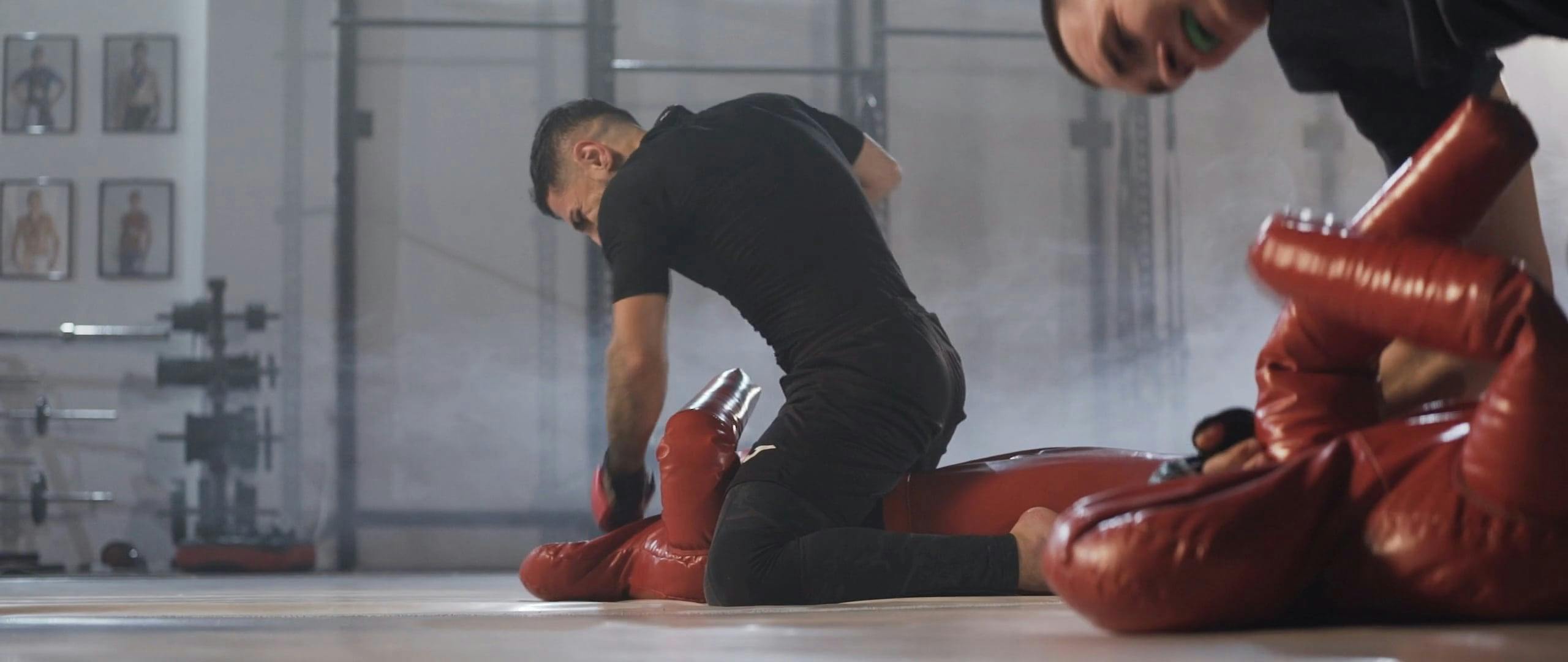 Training Dummies Terraria Videos, Download The BEST Free 4k Stock Video