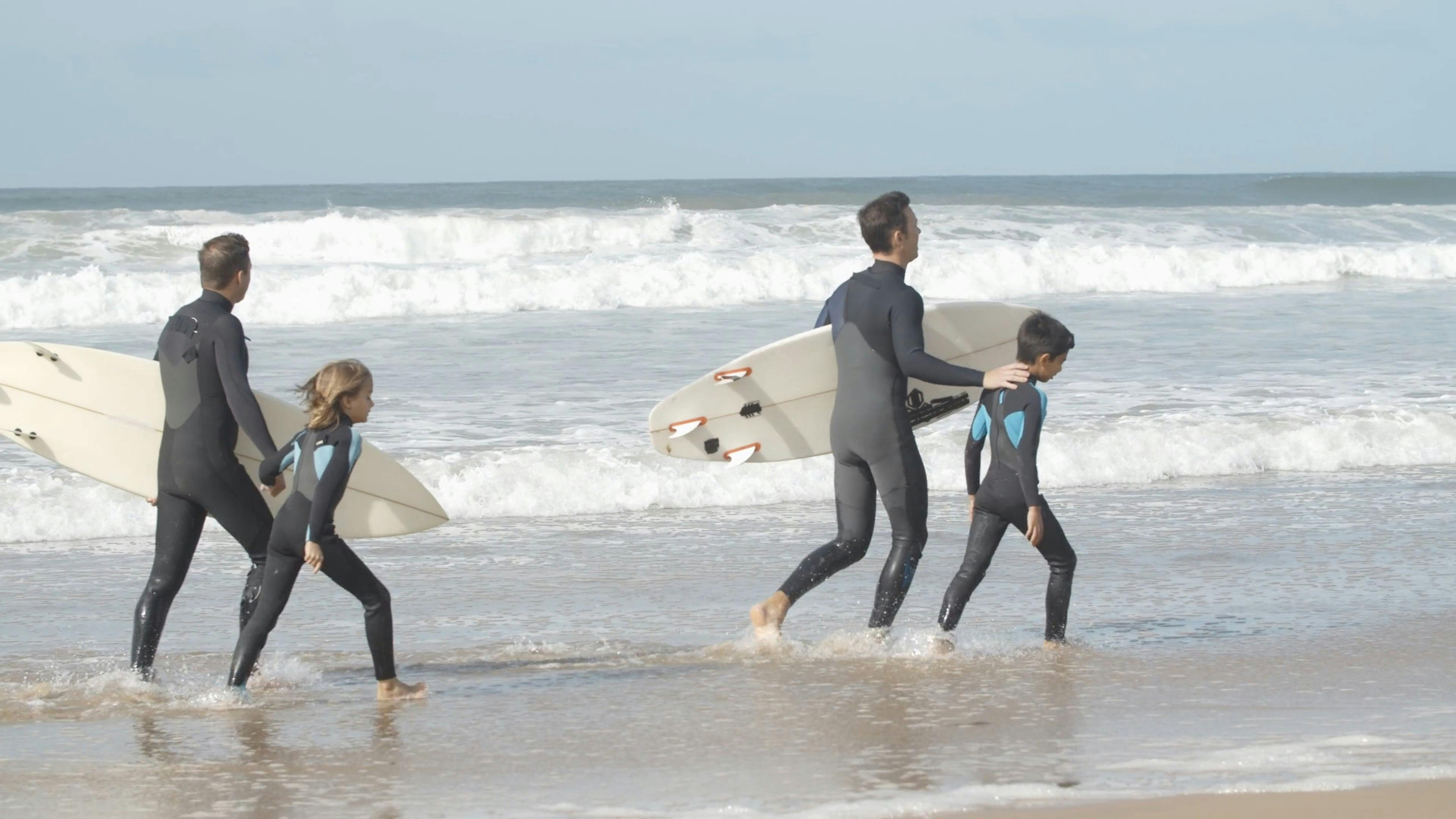 Men Carrying Surfboards Walking on the Beach · Free Stock Video