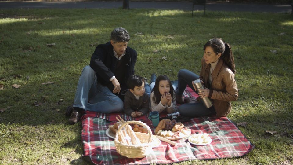 A family having a picnic on the grass in a sunny park