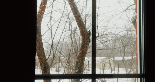 Window View Of Snow Falling