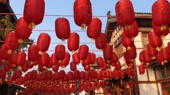 春节免费下载高清视频免费下载视频素材