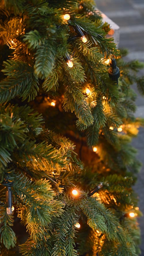 Close-up Lights on Christmas Tree