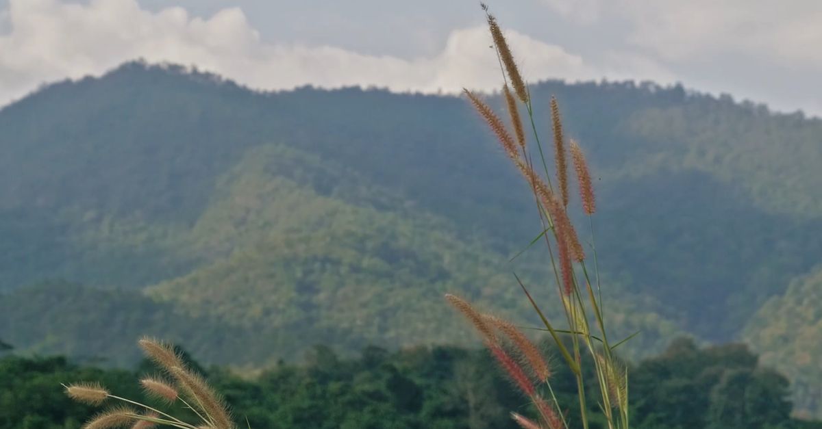 Landscape View Video A Video Footage of a Mountain View Free Stock Video Footage, Royalty ...
