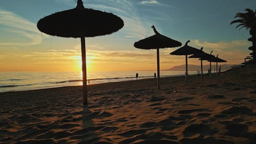 People Walking by the Beach