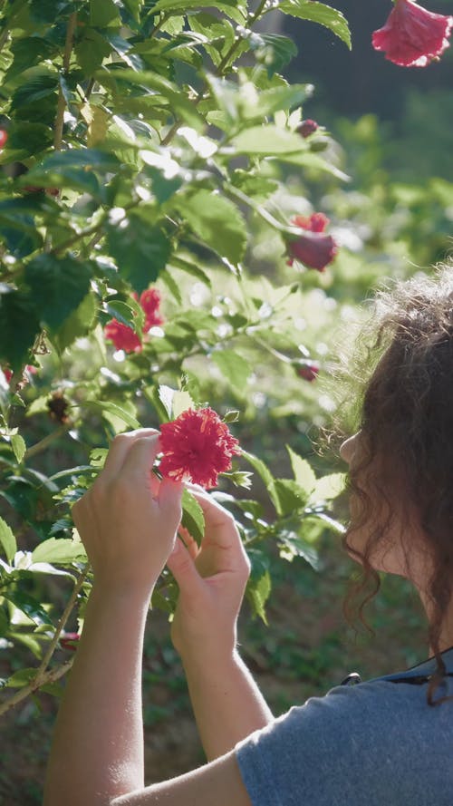 Woman Smelling Red Flower