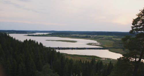 River and Forest Seen From Hilltop