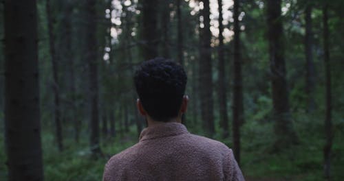 Man Walking Into the Woods