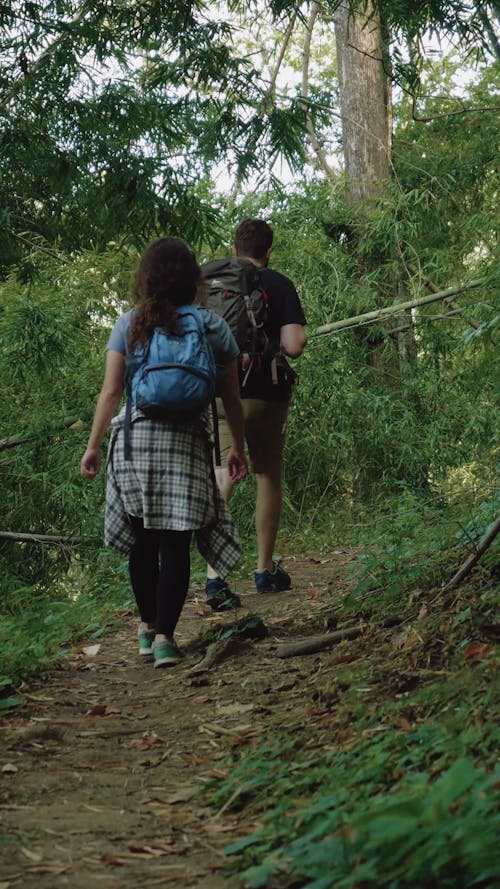 A Couple of Backpackers Walking in a Forest Path