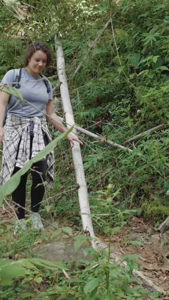 美女登山视频素材