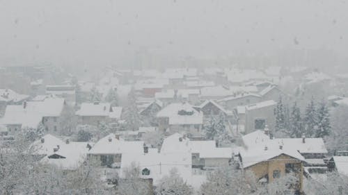 Heavy Snow in a Town 