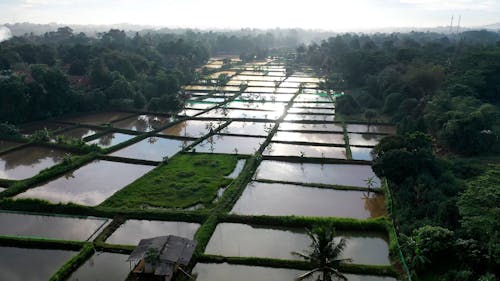 Drone Footage of the Agricultural Land