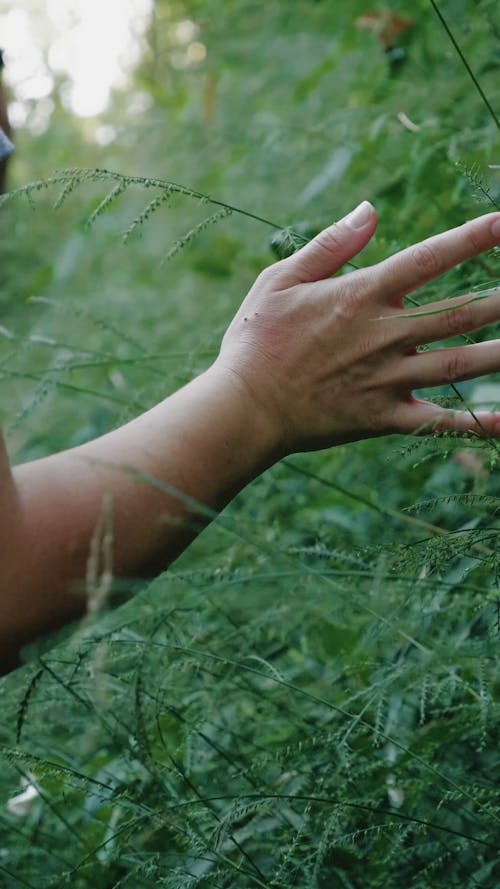 Woman Touching Grass leaves on Mountain Trek