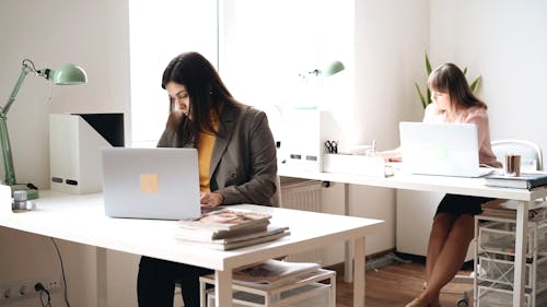 Women Working Independently in the Office