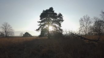 大气风景视频素材