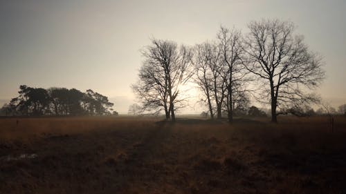 Tracking Shot of a Landscape