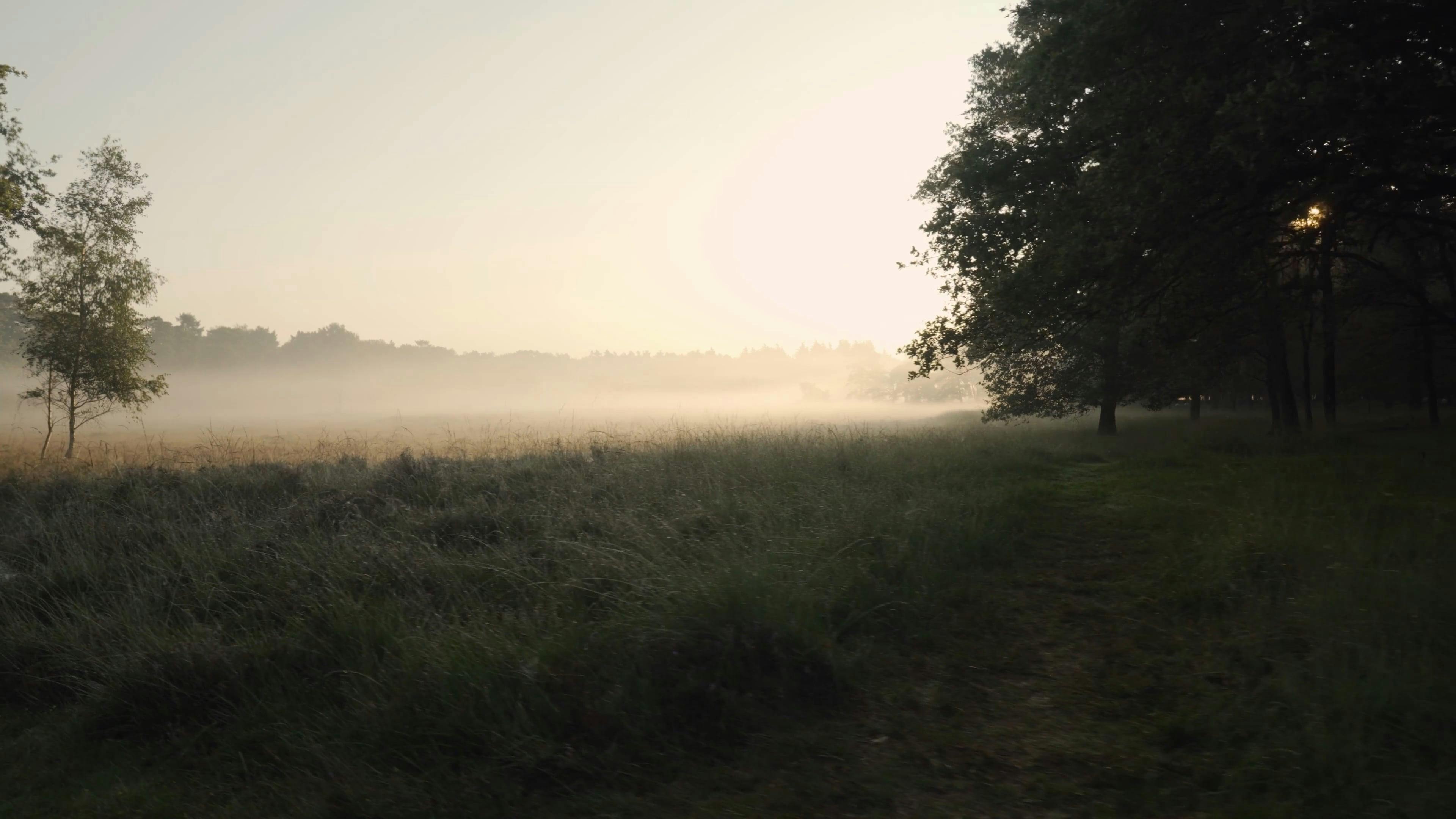 3,000+个最精彩的“Vacant Land For Sale”视频 · 100免费下载 · Pexels素材视频