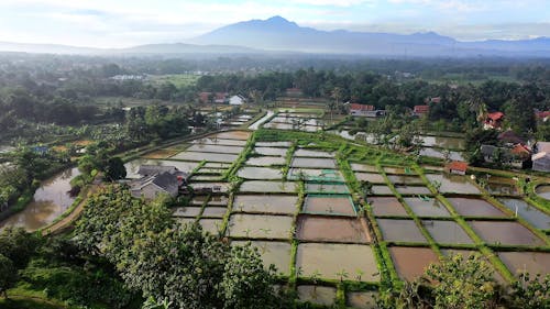 Drone Footage of the Rural Area