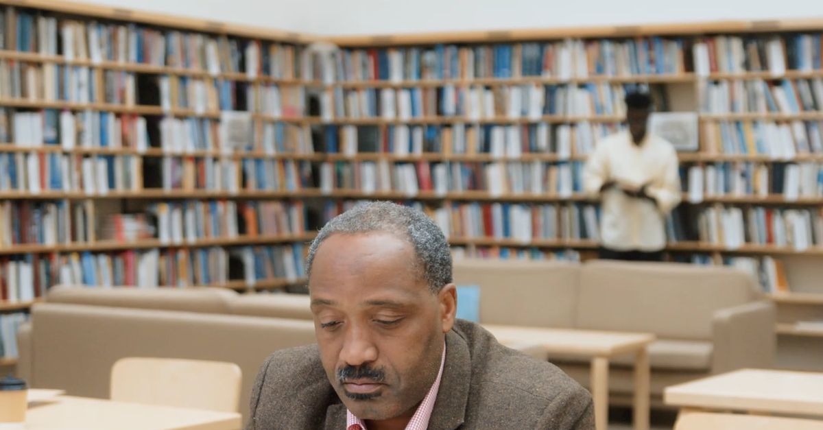 Library Core Man Man Inside A Library Free Stock Video Footage, Royalty-Free 4K & HD ...