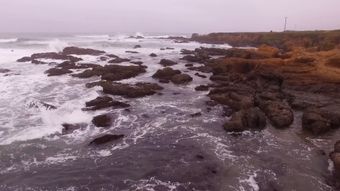 海边免费下载免费下载高清视频高清视频视频素材