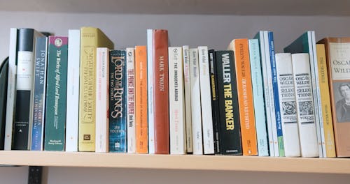 Choosing A Book From The Bookshelves