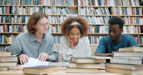 Alunos Fazendo Suas Pesquisas Na Biblioteca