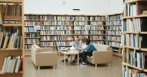 Studenten In De Bibliotheekbank