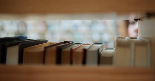 A Woman Searching For A Book