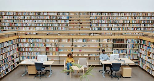 Students Inside The Library
