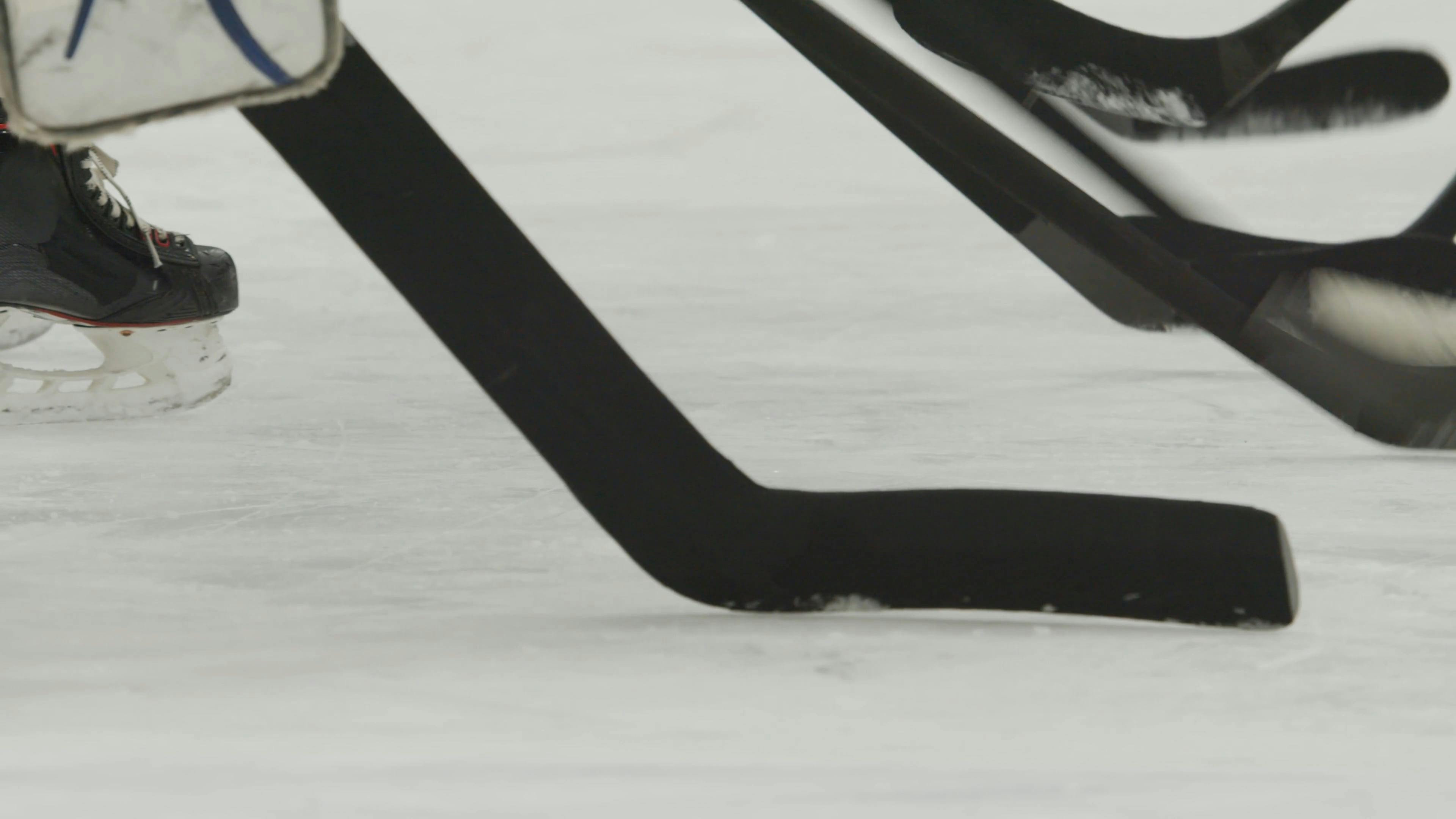 Players Tapping Their Hockey Sticks on Ice · Free Stock Video