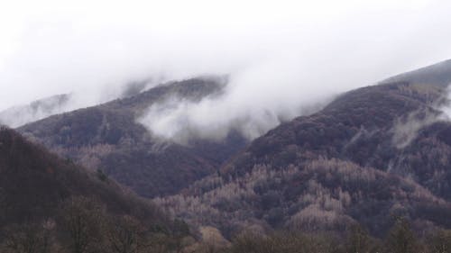 Low Lying Clouds Over The Mountain