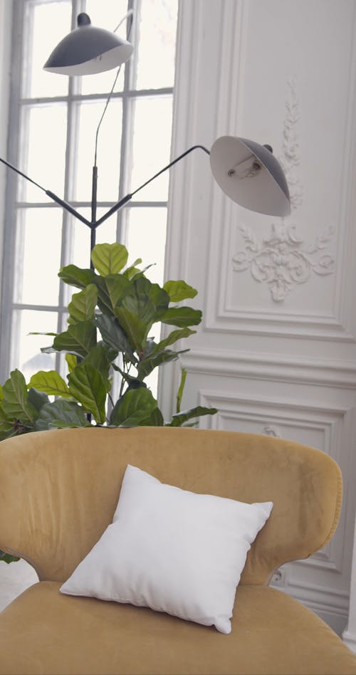 Lamp and Indoor Plant beside the Sofa Chair