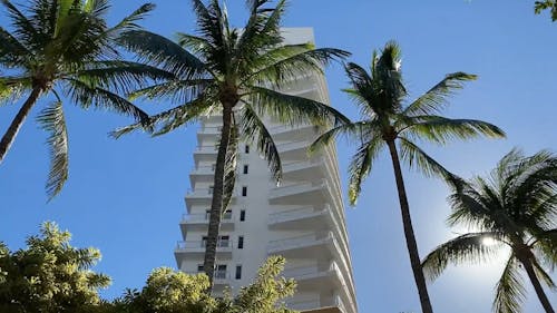 Miami Beach Videos, Download The BEST Free 4k Stock Video Footage