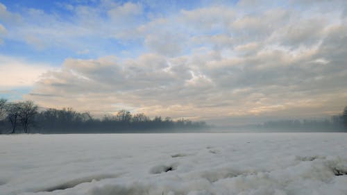 Panning Shot of Winter Landscape