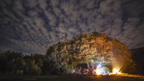 Hyperlapse Camp in the Forest