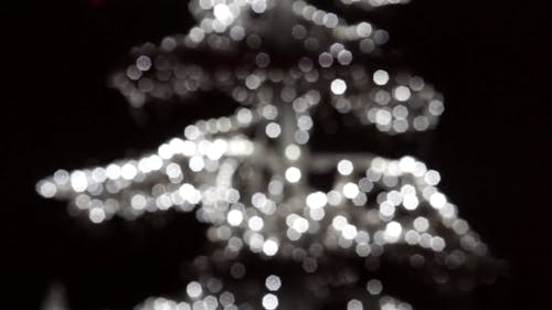 Defocused Lights 