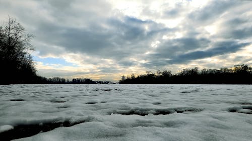 Forest in Sunset with Snow 