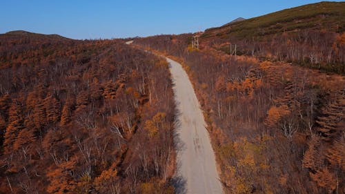 An Aerial Footage of a Car on a Road