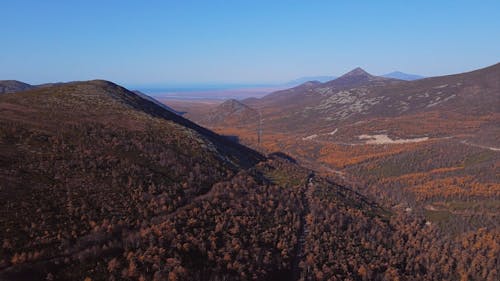 Aerial Shot of a Landscape