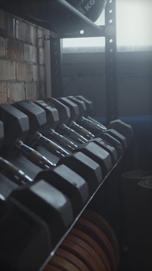 Weight plates and Dumbbells in a Gym