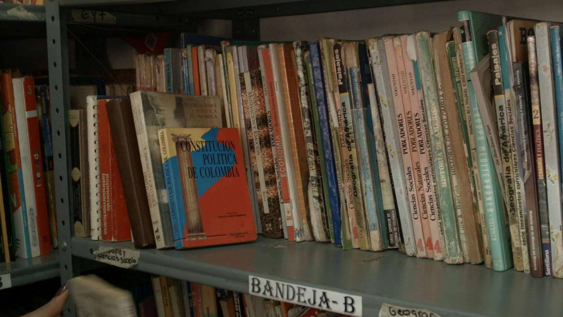 10,000+ Best Used Books Videos · 100 Free Download · Pexels Stock Videos