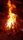 bonfire