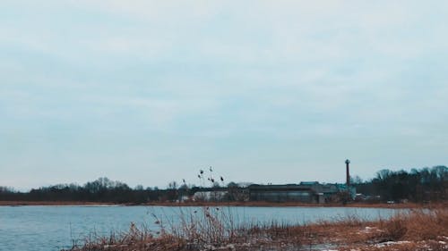 View of the River Beside a Factory