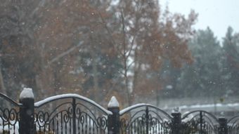 下雪高清视频视频素材