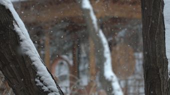 下雪免费下载视频素材