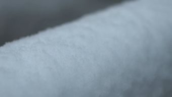 雪蛤免费下载视频素材视频素材