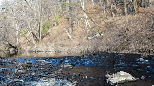 Flowing Water in a River