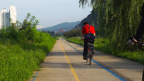 Men Bicycling on Road